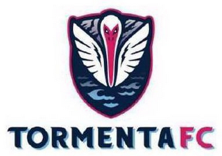 TORMENTA FC logo