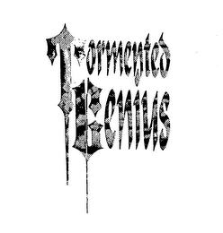 TORMENTED GENIUS logo