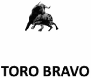 TORO BRAVO logo