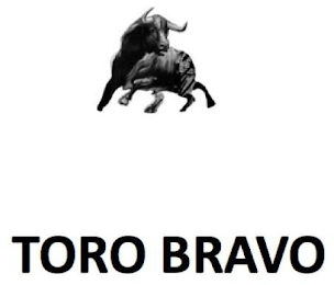 TORO BRAVO logo