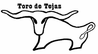 TORO DE TEJAS logo