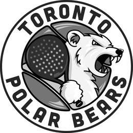 TORONTO POLAR BEARS logo