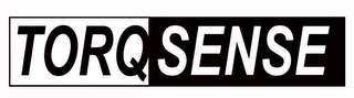 TORQSENSE logo