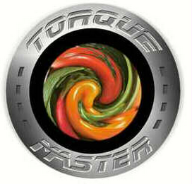 TORQUE MASTER logo