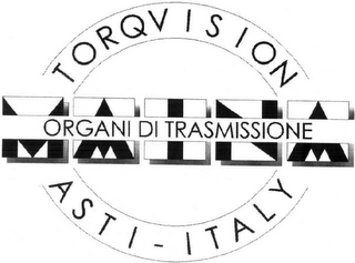 TORQVISION MAINA ORGANI DI TRASMISSIONE ASTI - ITALY logo