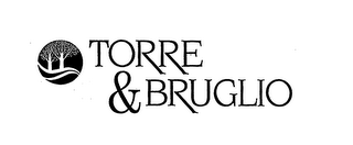 TORRE & BRUGLIO logo