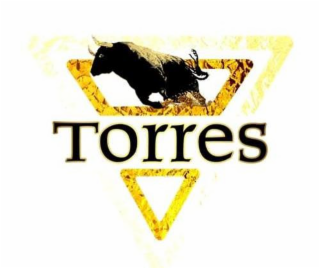 TORRES logo