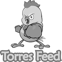 TORRES FEED logo