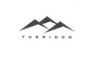 TORRIDON logo