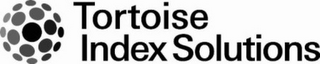 TORTOISE INDEX SOLUTIONS logo