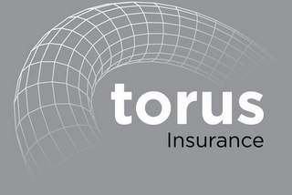 TORUS INSURANCE logo