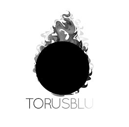 TORUSBLU logo