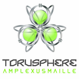 TORUSPHERE AMPLEXUSMAILLE logo