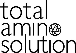 TOTAL AMIN SOLUTION logo