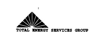 TOTAL ENERGY SERVICES GROUP logo