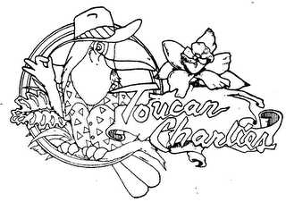 TOUCAN CHARLIES logo