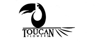 TOUCAN FLOWERS logo