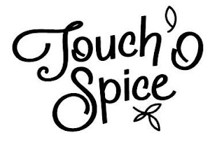 TOUCH O SPICE logo