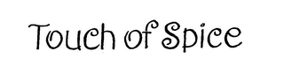 TOUCH OF SPICE logo