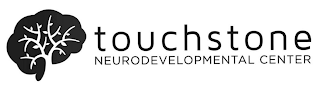 TOUCHSTONE NEURODEVELOPMENTAL CENTER logo