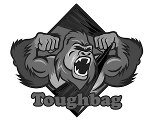 TOUGHBAG logo
