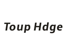 TOUP HDGE logo