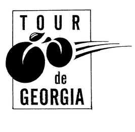 TOUR DE GEORGIA logo