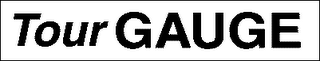 TOURGAUGE logo