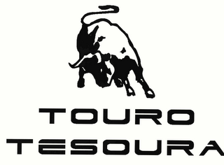 TOURO TESOURA logo