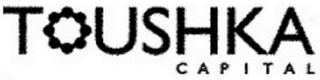 TOUSHKA CAPITAL logo