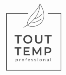 TOUT TEMP PROFESSIONAL logo