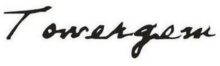 TOWERGEM logo