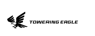 TOWERING EAGLE logo