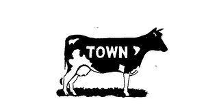 TOWN logo