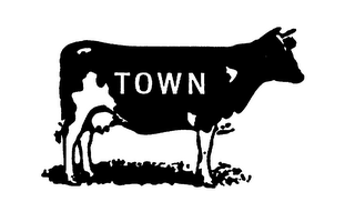 TOWN logo