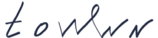 TOWWN logo