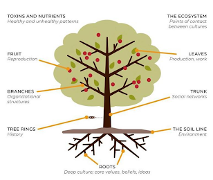 TOXINS AND NUTRIENTS HEALTHY AND UNHEALTHY PATTERNS THE ECOSYSTEM POINTS OF CONTACT BETWEEN CULTURES FRUIT REPRODUCTION LEAVES PRODUCTION, WORK BRANCHES ORGANIZATIONAL STRUCTURES TRUNK SOCIAL NETWORKS TREE RINGS HISTORY THE SOIL LINE ENVIRONMENT ROOTS DEEP CULTURE; CORE VALUES BELIEFS IDEAS logo