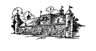 TOY CASTLE logo