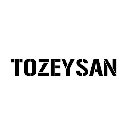 TOZEYSAN logo