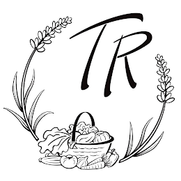 TR logo