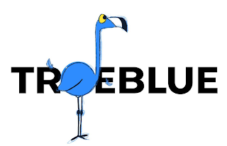 TR EBLUE logo