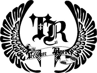 TR TREASURE ROCK logo