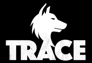 TRACE logo