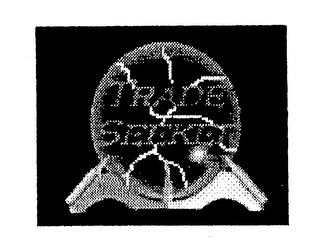 TRADE SEEKER logo