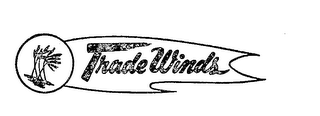 TRADE WINDS logo