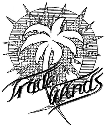TRADE WINDS logo