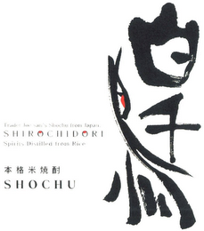 TRADER JOE SAN'S SHOCHU FROM JAPAN SHIROCHIDORI SPIRITS DISTILLED FROM RICE SHOCHU logo