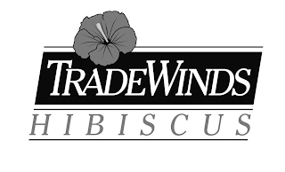 TRADEWINDS HIBISCUS logo