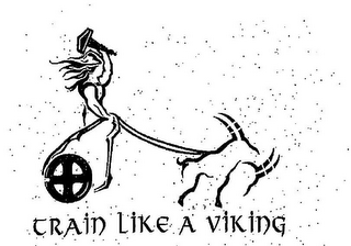 TRAIN LIKE A VIKING logo