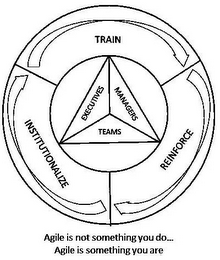 TRAIN REINFORCE INSTITUTIONALIZE EXECUTIVES MANAGERS TEAMS AGILE IS NOT SOMETHING YOU DO... AGILE IS SOMETHING YOU ARE logo